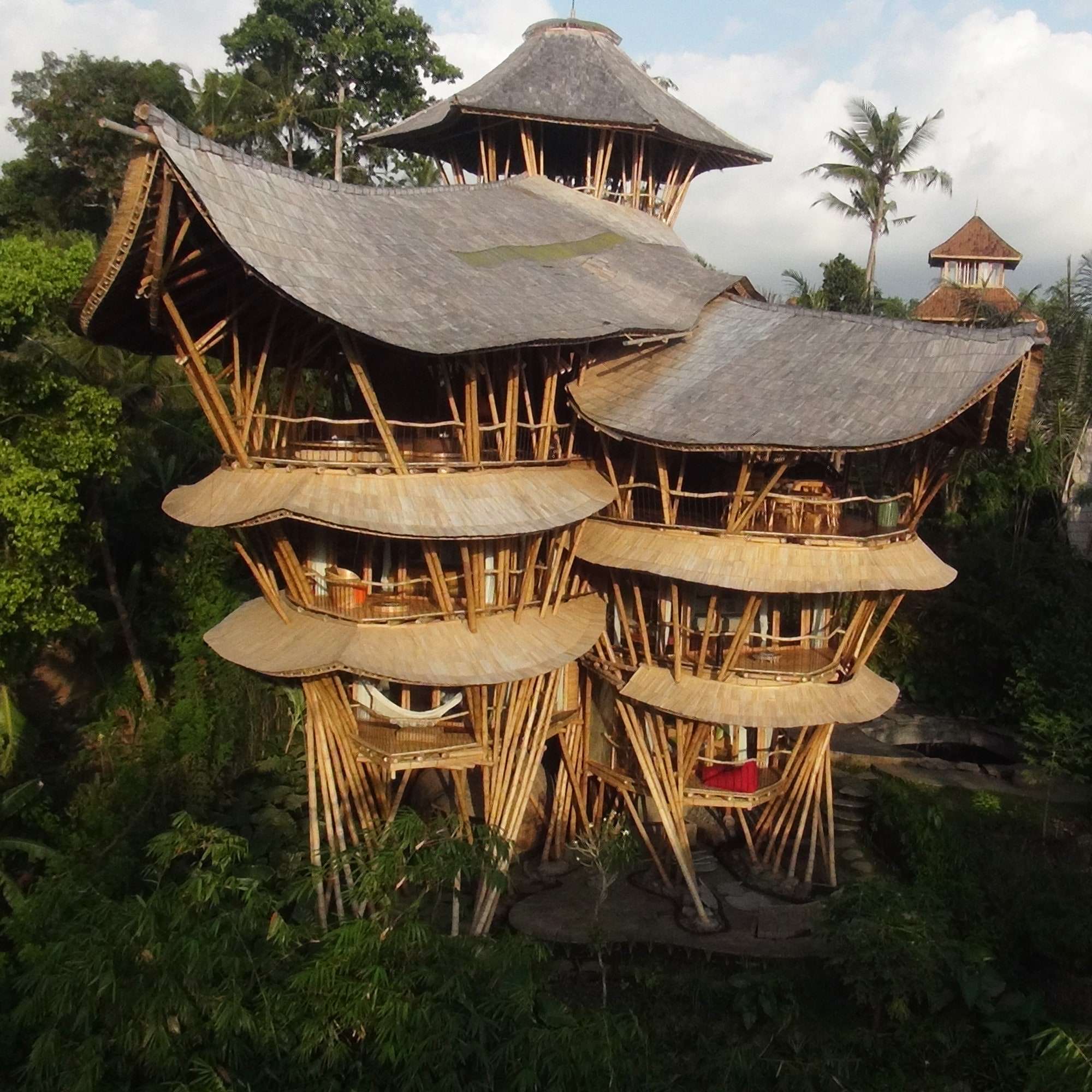 Bamboo: A Sustainable and Strong Building Material